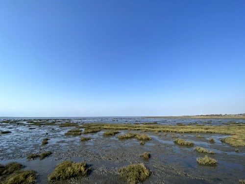 寧夏農村生活污水治理越來越“智慧”