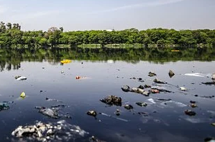 完成治理的部分水體返黑返臭 河長制為何形同虛設？